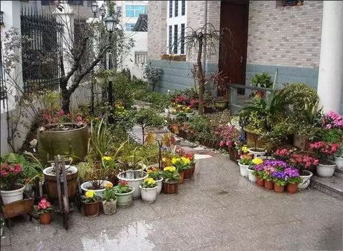 庭院四季花景，搭配是关键