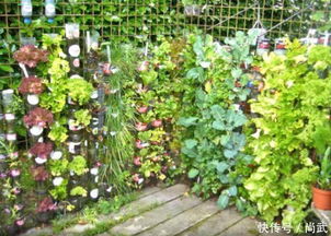 用心观察，情感共鸣