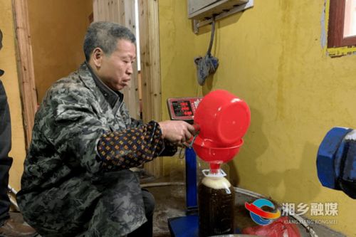 山茶油收购新动态：今日价格一览，尽在市场之巅
