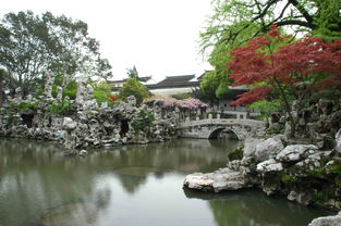 狮子林的假山：一幅独特的山水画卷