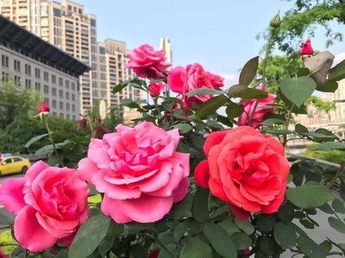 养护小贴士，你get了吗？