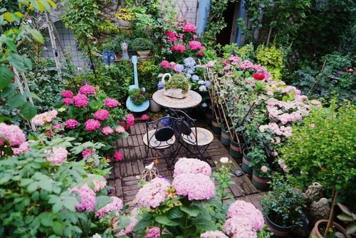 南方种植痛点解析