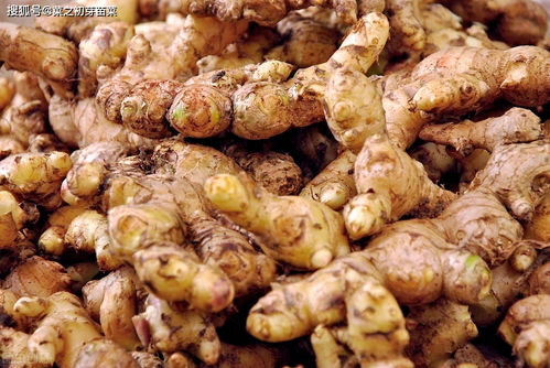 适宜生长的温度