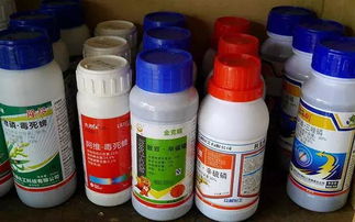 农药有毒？不其实没有又毒又无味的农药