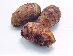 芋头种子是个啥样子的？