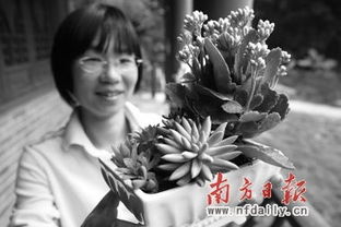 多肉植物怎么种？新手必看超简单养肉肉指南