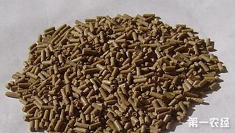 猪饲料10大品牌中，中国前十大猪饲料品牌有哪些？