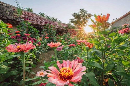 创意与实用，完美结合