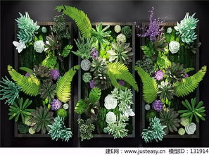 绿植墙面的植物选择有讲究