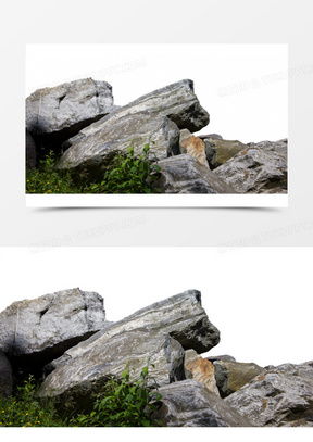 岩石在生态池中的应用