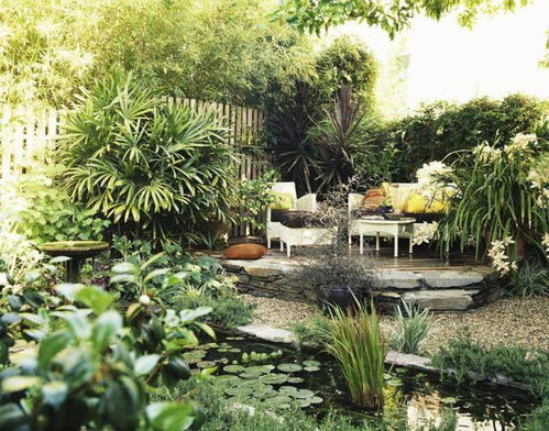 中式庭院植物的独特韵味