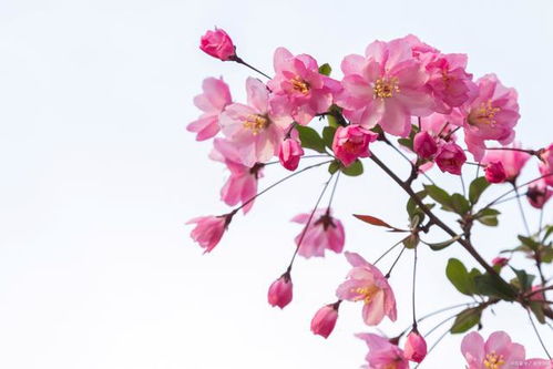 太热了怎么办？