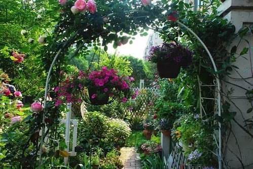 江苏四月的种植推荐