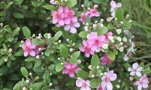 传统智慧的力量