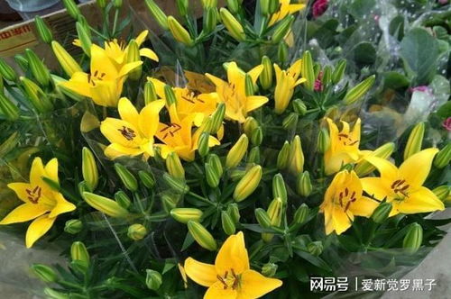 三、 新手省钱技巧，这4点必堪：