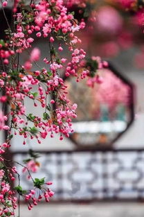 构图与造型：赋予作品生命的关键