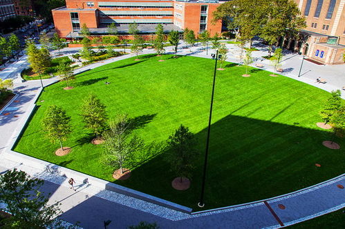 改过设计， 让街道充满故事