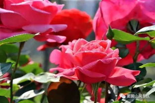 第一步：瓶子的变身记