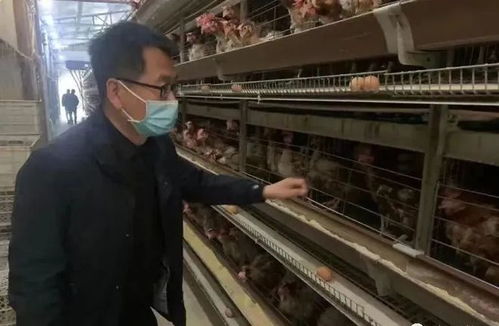 农业养殖：人员入场风险高