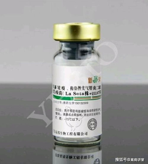 二、 吡虫啉的特点