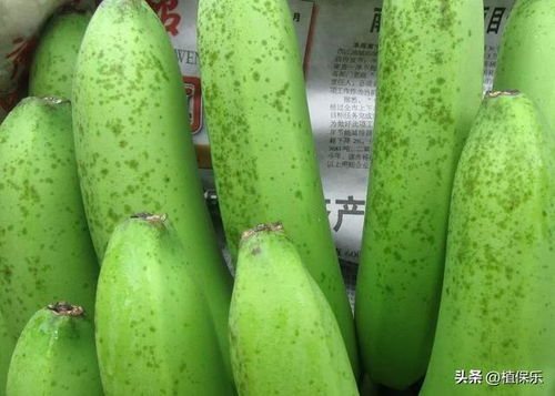 香蕉病害，三唑类杀菌剂来帮忙