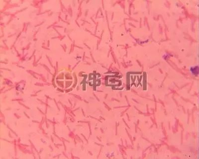 密封，真的是必需的吗？