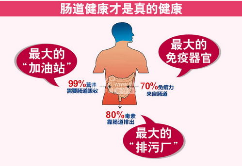 茶油烹饪助力肠道健康，轻松解决频繁腹泻问题