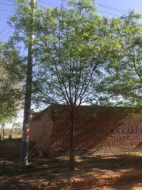 季节选择，至关重要