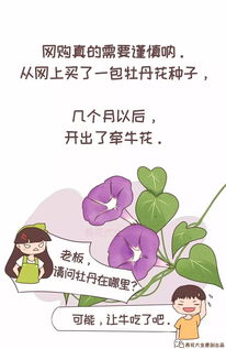 “如何让家人停止养花？”