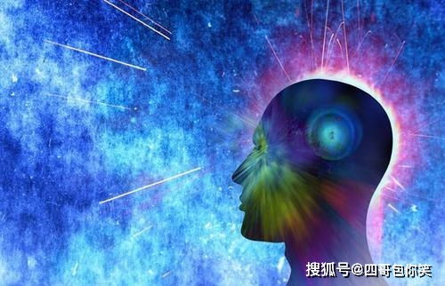 智慧之花象征中，它如何体现人类对宇宙奥秘的探索与理解