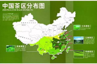 品种油茶产地北京上海供应商