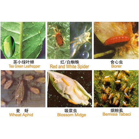 江苏植保站的“生物+化学”方案