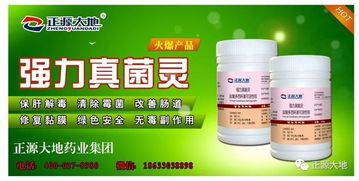 我在贵阳的见闻
