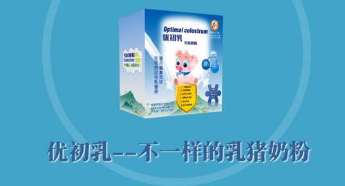 乳猪开口料与教槽料有何核心差异？如何高效饲喂并科学选购？