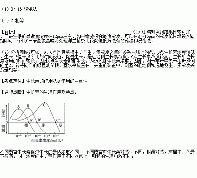 探索植物生长调节剂：助力植物茁壮成长的小秘密