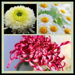 肥水管理，不嫩少