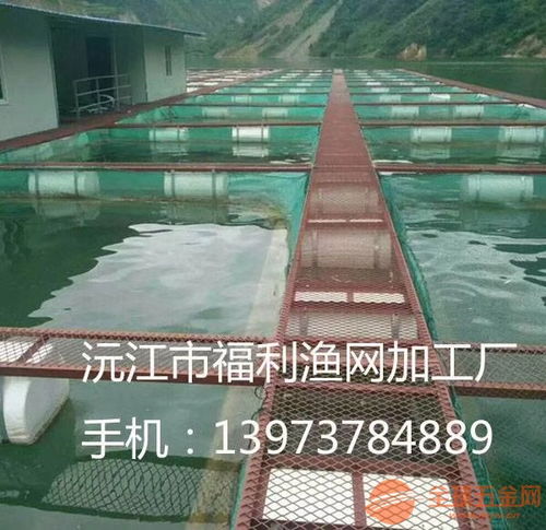 在平底河道中，如何合理放置网箱以养鱼