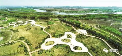 百万亩造林工程