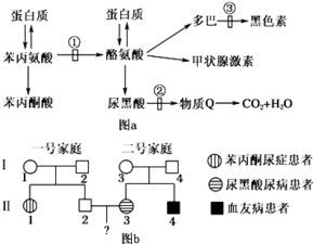 酶，酶，听起来好高级的样子