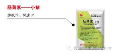 阿维菌素：一个听起来很厉害的词
