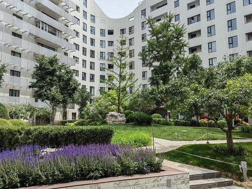 小区环境， 会不会被破坏