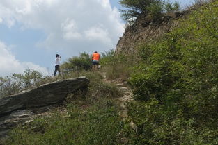 地理位置的影响