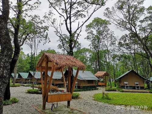 融入自然 建立日常对话