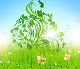 双向奔赴， 恋爱般的养护