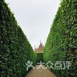 科学管理是关键， 橡树种植也有技巧