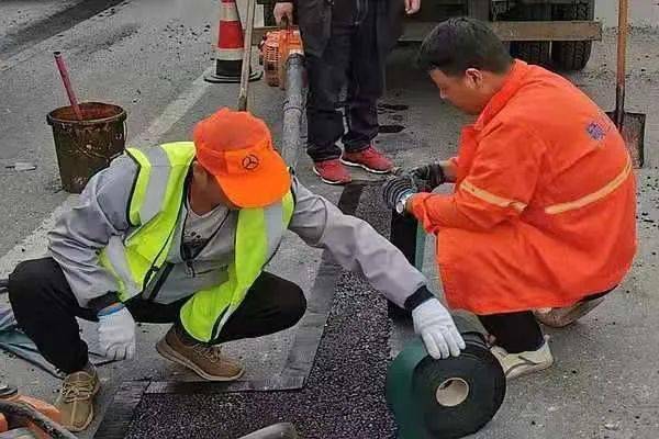 杜仲环剥促再生，剥皮养护技巧多
