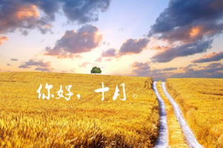 实测嫩扛住北方暴击的狠角色