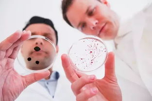 哪些农药“暗箭伤人”？