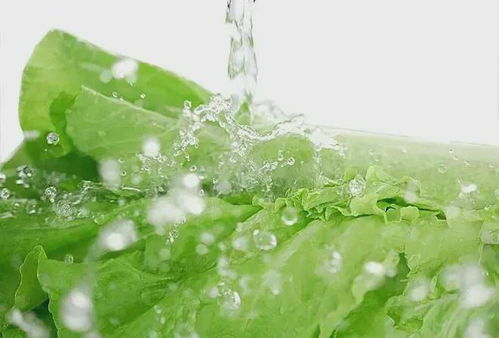 洗菜也要讲究方法，你真的会洗菜吗？