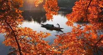 华北五角枫以春播为主，育苗地要选好